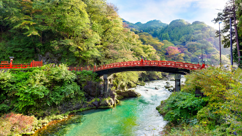 Nikko/Shutterstock