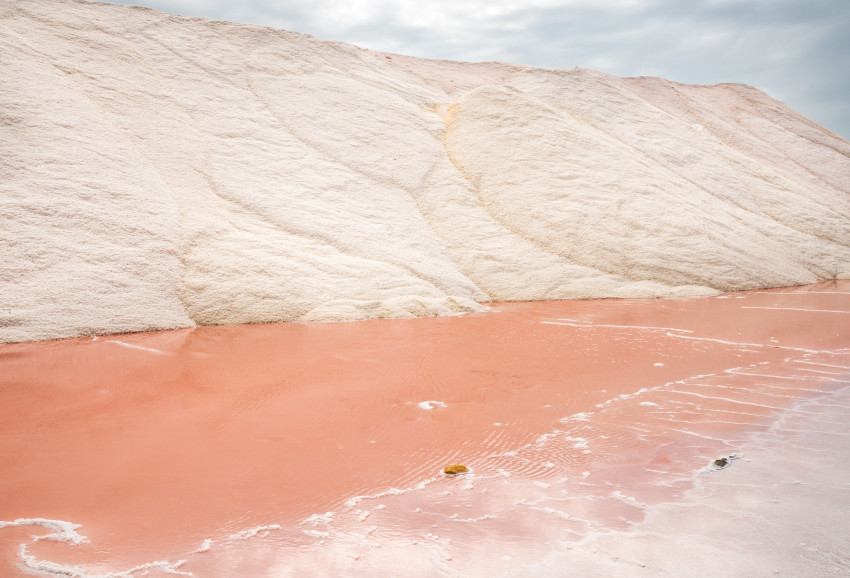 Camargue/Shutterstock