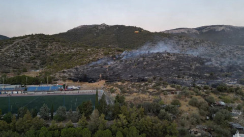 Φωτιά στην Τερψιθέα Άνω Γλυφάδας / Φωτογραφία: Facebook