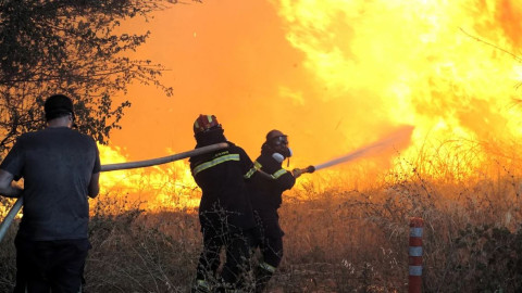 Μάχη δίνουν οι πυροσβέστες στη φωτιά στην Αττική / Φωτογραφία: Intimenews