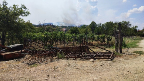 Καταγραφή και επιχορήγηση επιχειρήσεων-αγροτικών εκμεταλλεύσεων που επλήγησαν από τις πυρκαγιές στον Έβρο